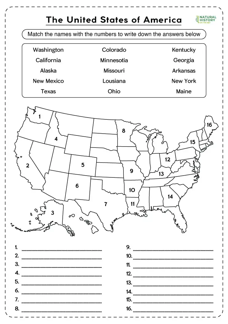 Free Printable Blank Map Of The United States Worksheets